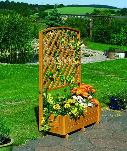 "Shelves "Flora" 205 cm image"