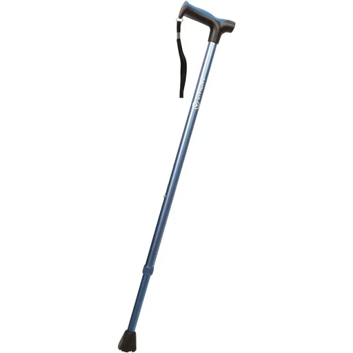 "walking stick image"