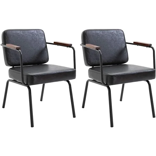 "Dining chair set of 2 image"