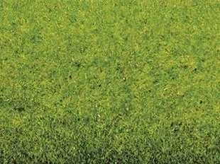 "Grass mat spring meadow 200 x 100 cm image"