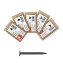 Picture nail with brass head Home Classic assortment bag 100 pieces