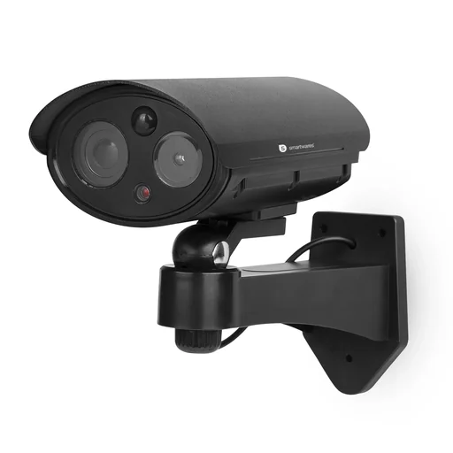 "Dummy camera with auto-pan function image"