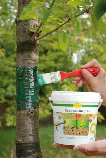 "Klej na gąsienice 1 kg - idealna ochrona dla twoich drzew image"