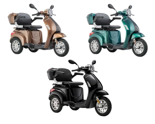 "E-tricycle Teutoburg Detmold, 20 km/h (moped class), front disc brake, LED light, top case, no helmet required, umbra image"