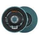 Flap disc LS80 steel & INOX, 125 x 22 x 22.23 mm, K40, 10 pieces