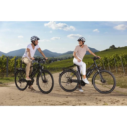 "Men's E-Bike Trekking, 28 inches, frame size 55 cm, 10-speed derailleur, matte black, VIATOR ETH 1861 image"