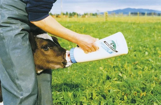 "Calf bottle Speedy Feeder, 2.5 l image"
