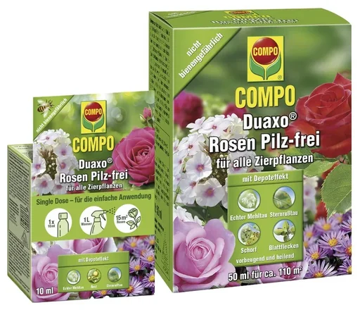 "Duaxo® Rose Fungus-free for all ornamental plants 10 ml image"