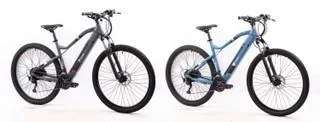 "Unisex Alu MTB 29 inch, 27-speed derailleur, grey, entry-level M923 Hardtail image"