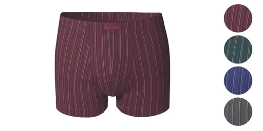 "Retro shorts in a pack of 4, assorted colors, size 8 image"