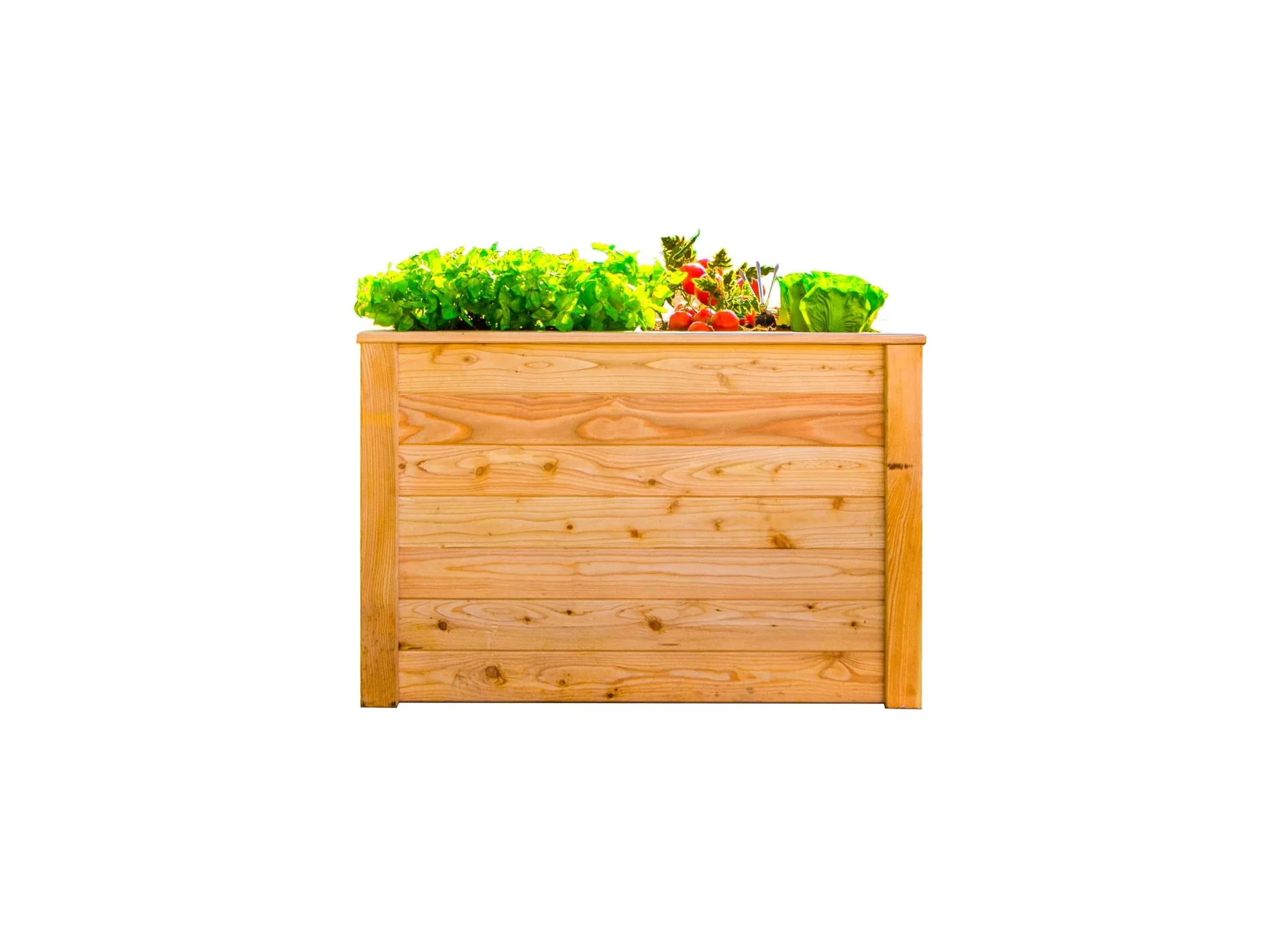 "Podwyższona grządka Klassik 100, 100×65×66 cm, Naturalna – Drewno modrzewiowe FSC, przyjazna dla pleców image"