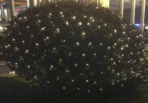 "LED light net with 270 warm white LEDs, 3x3 m image"