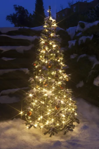 "LED light chain outside 200 cold white LEDs image"