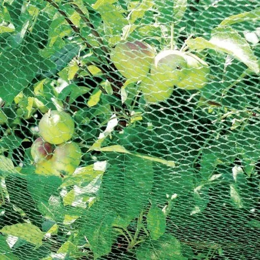 "Bird protection net - 8 x 8 m image"