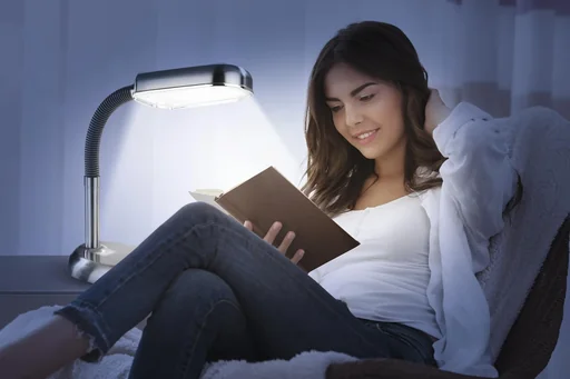 "LED daylight table lamp stainless steel image"