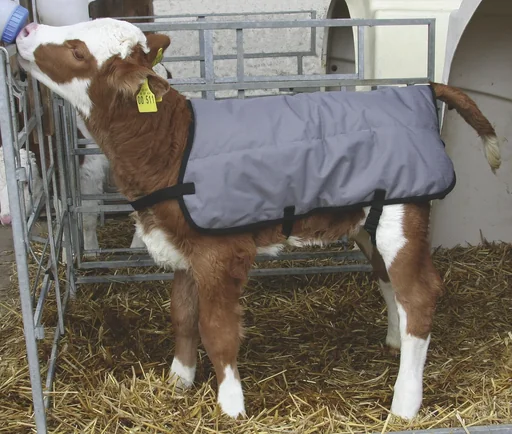"Calf blanket ripstop, 80 cm image"