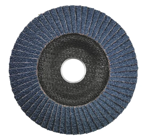 "Lamellar grinding disc 125 mm P 80, SP-ZK, 10 pieces image"