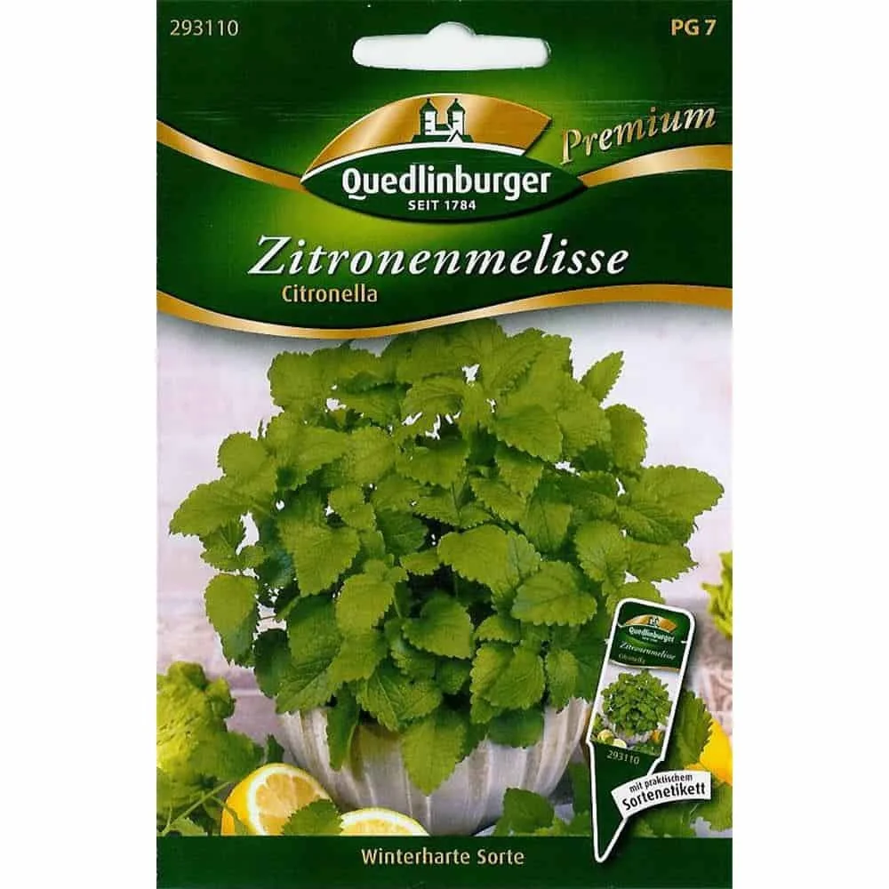 "Melisa Lekarska, Sadzonki Melisy, Citronella Roślina, Zioła Wieloletnie image"