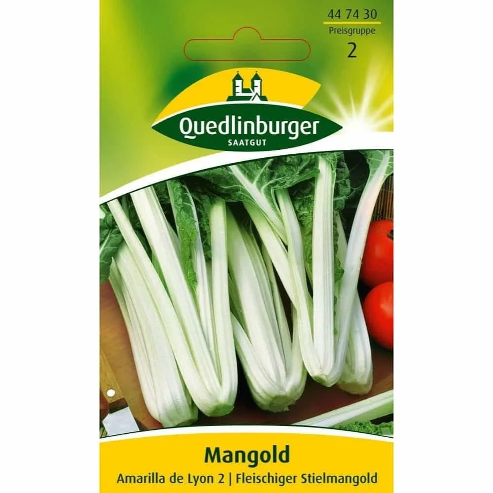 Mangold Amarilla de Lyon