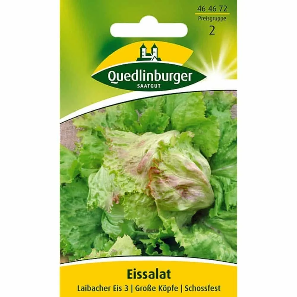 "Sałata lodowa, Laibacher Eis 3 image"