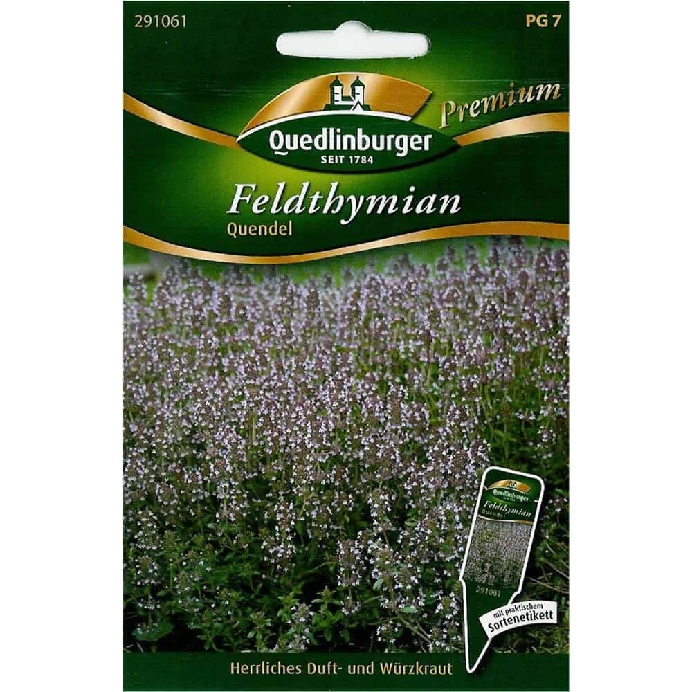Macierzanka Tymianek: Aromatyczna Roślina Wieloroczna do Ogrodu