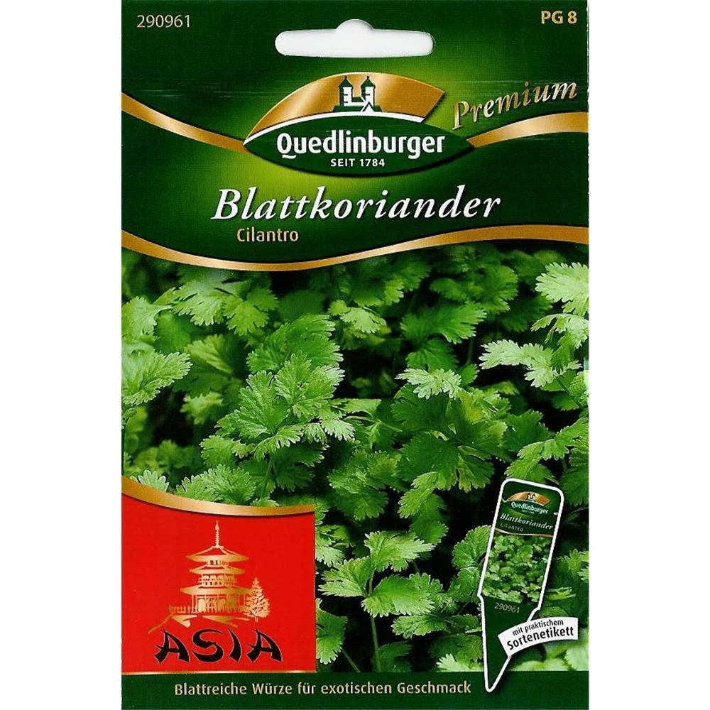 "Kolendra liściowa, Kolendra siewna image"