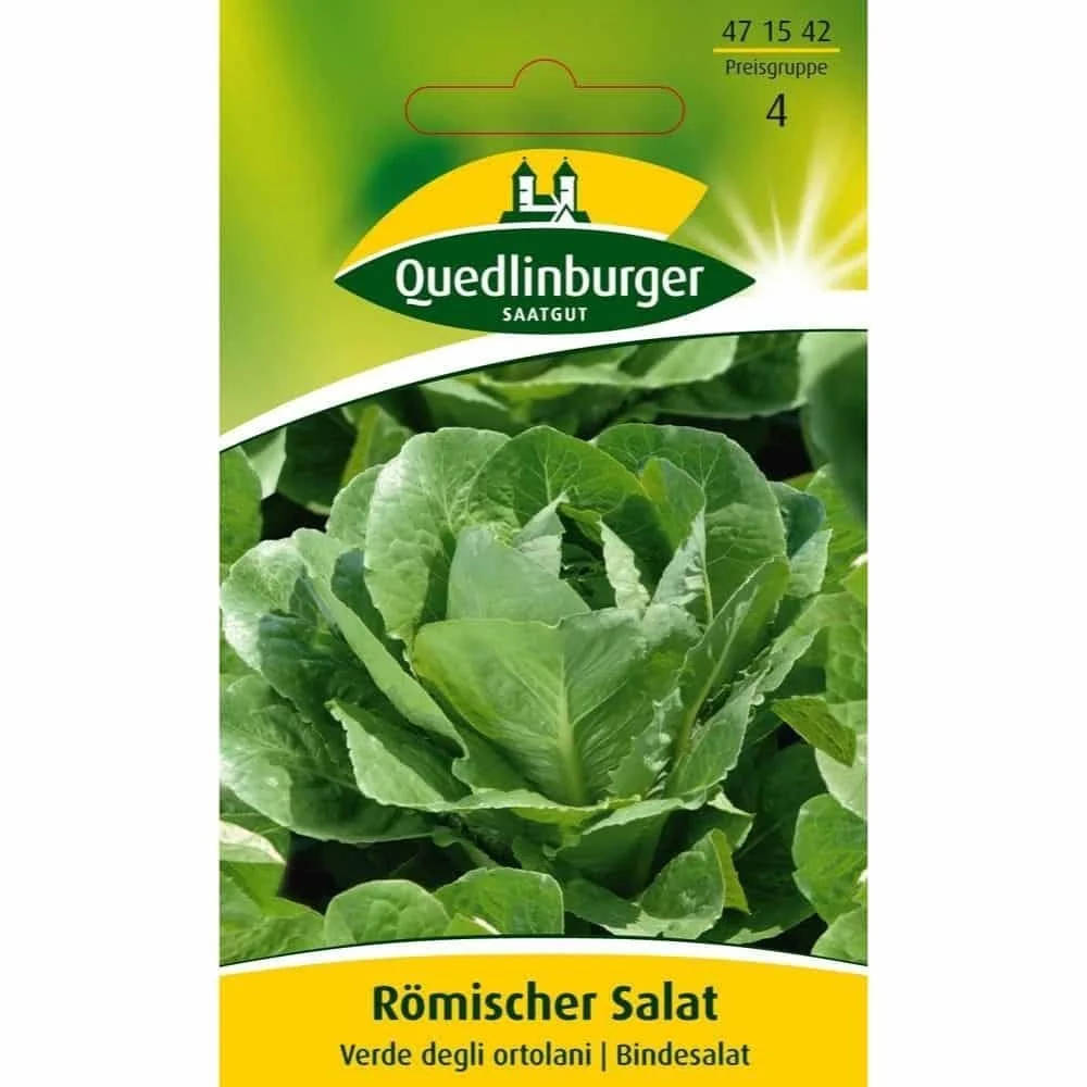 "Rzymska sałata, Verde degli ortolani image"