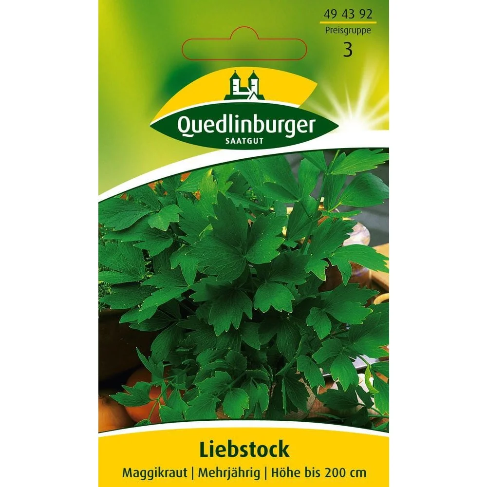 Maggikraut, Liebstöckel Samen