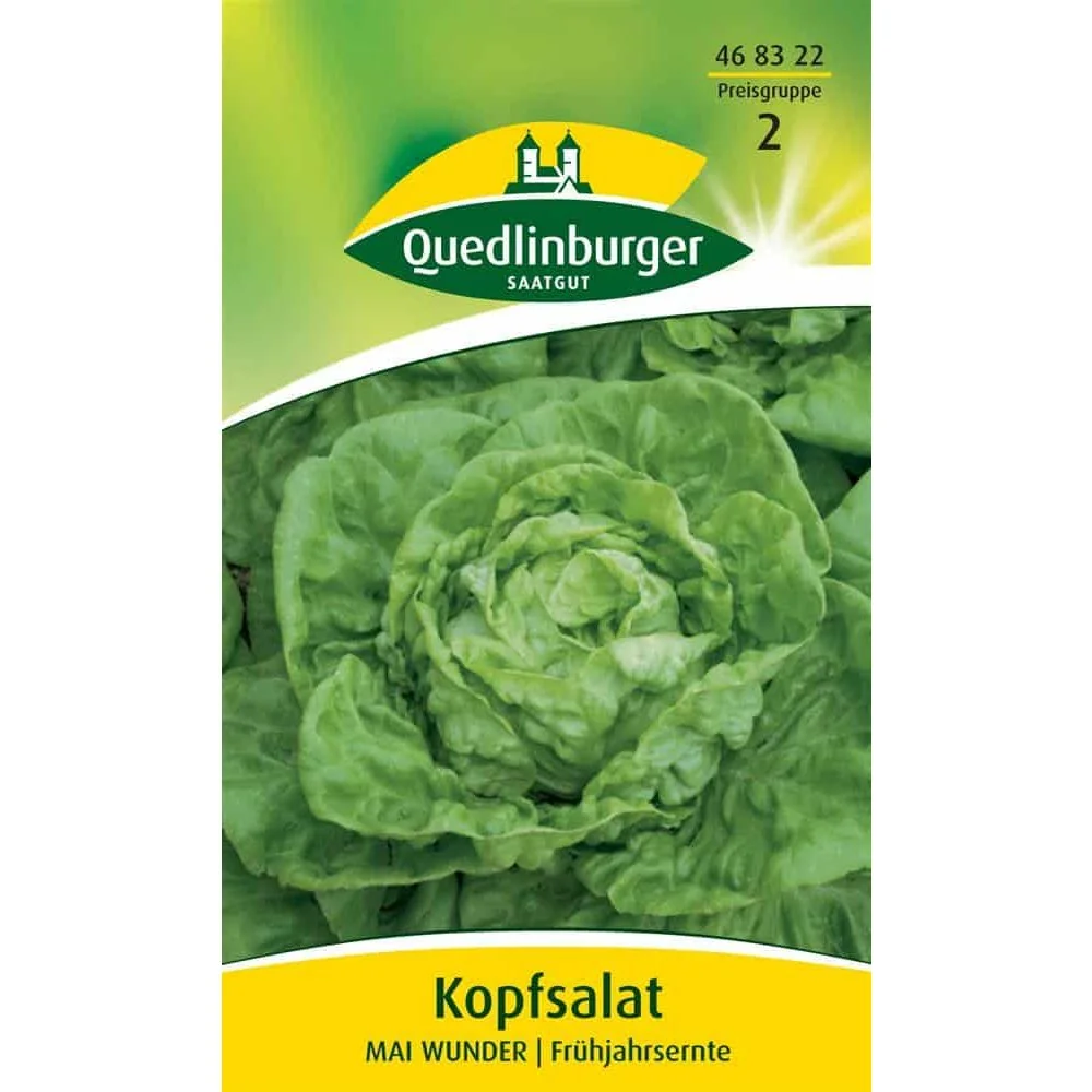"Sałata głowiasta, odmiana Mai Wunder image"