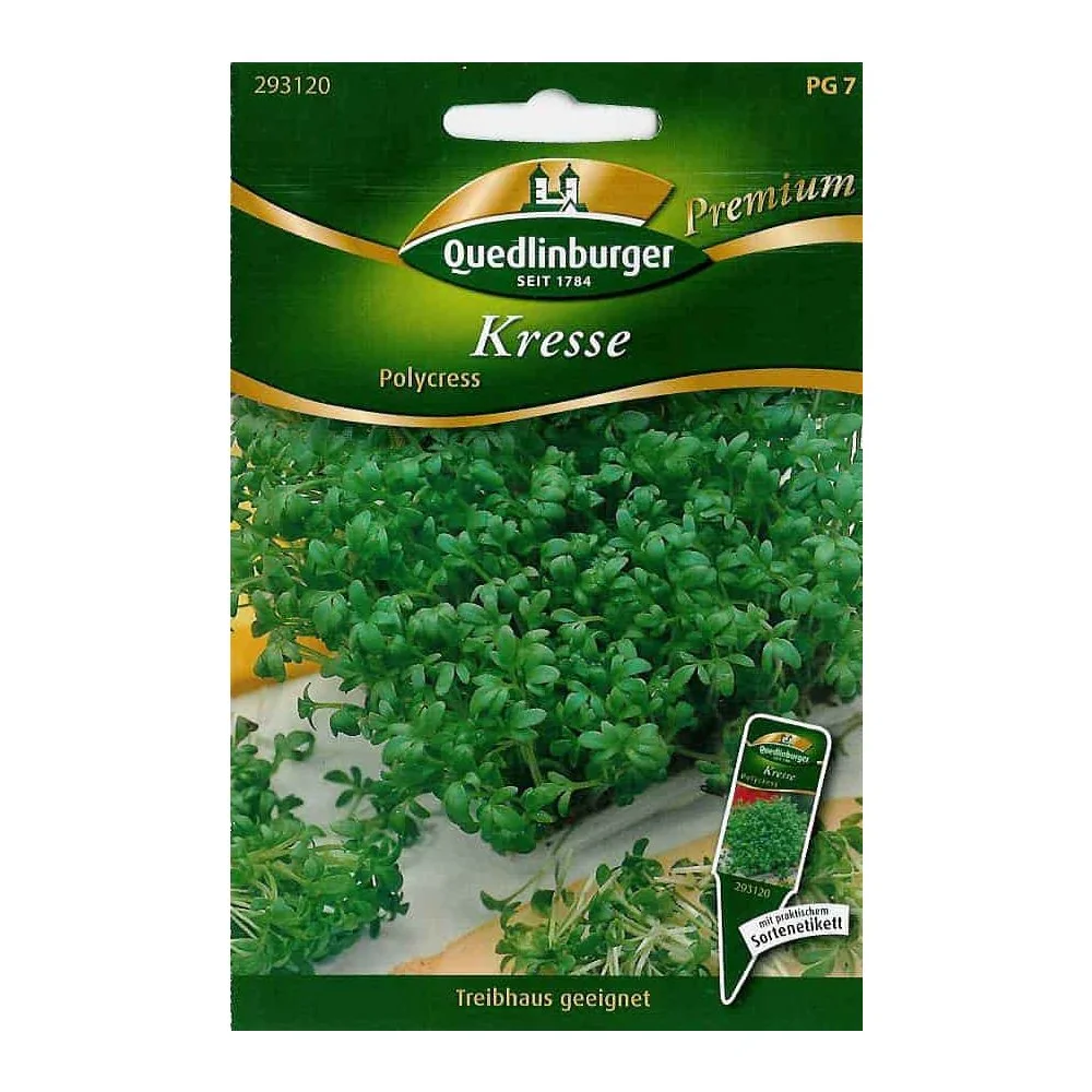 "Krzew, Polycress image"