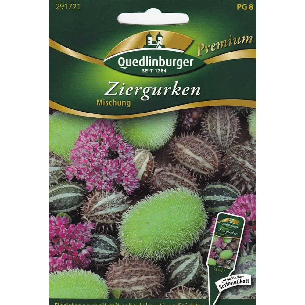 "Mieszanka Dyni Ozdobnych: Nasiona, Uprawa i Dekoracje Jesienne image"