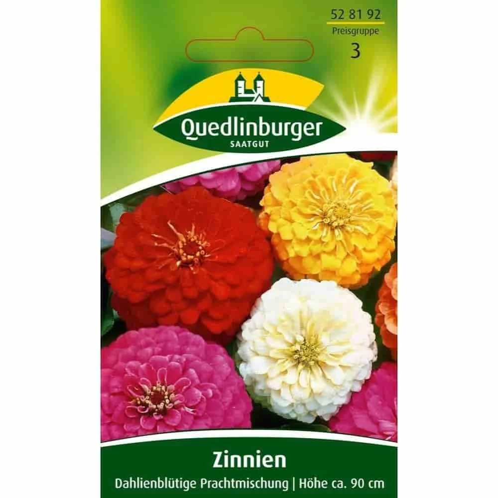 "Cynia, Dahlienblütige Prachtmischung image"