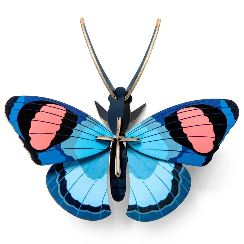 studio ROOF 3D motyl niebieski karton