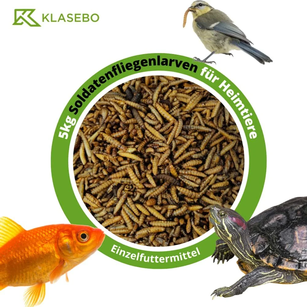 "Larwy muchy żołnierskiej 5kg, Hermetia Illucens suszone, karma dla ptaków, ryb, gadów image"