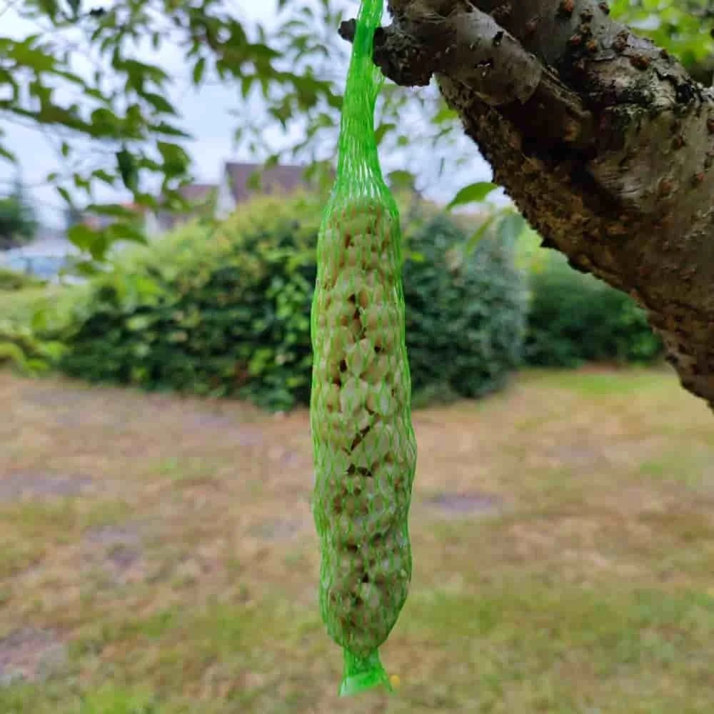 "Karma dla ptaków: Orzechowe stangi, 0.18 kg, 2 sztuki image"