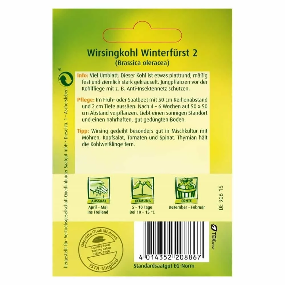 "Kapusta Włoska Winterfürst 2 - Nasiona, Uprawa, Sadzonki image"