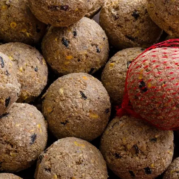 "Klasebo Premium Meisenknödel z Insektami 100 szt. po 90g w siatce image"