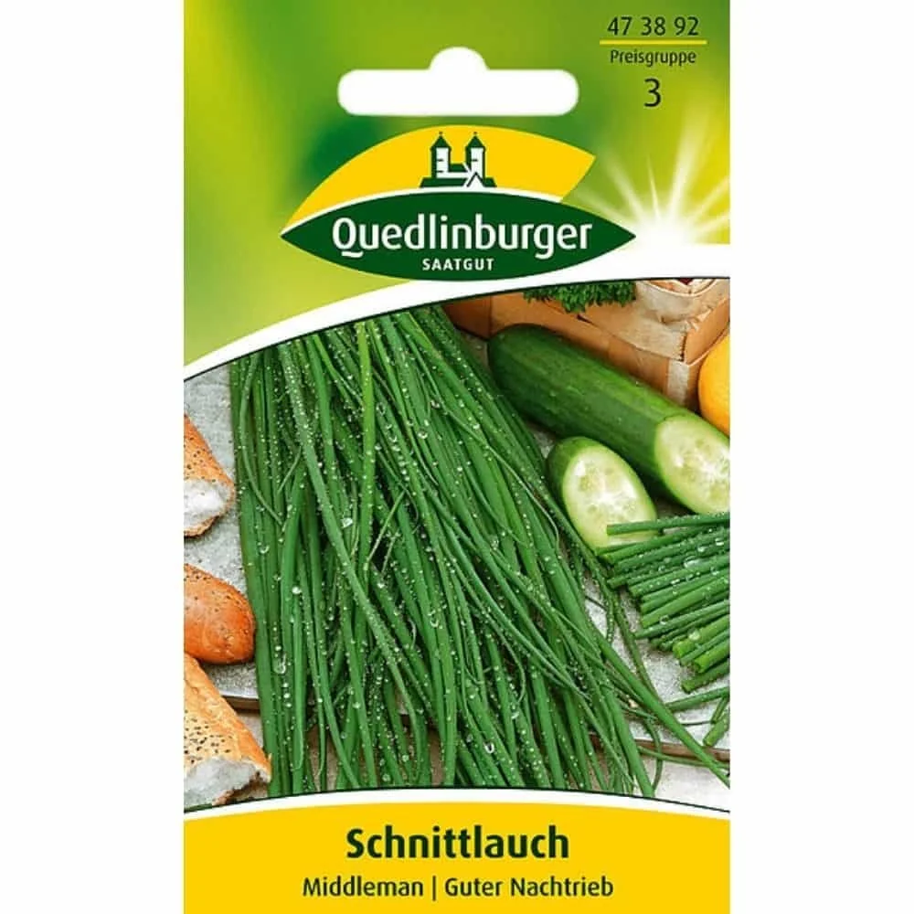 "Schnittlauch: Mehrjährig, Aromatisch & Pflegeleicht kaufen image"