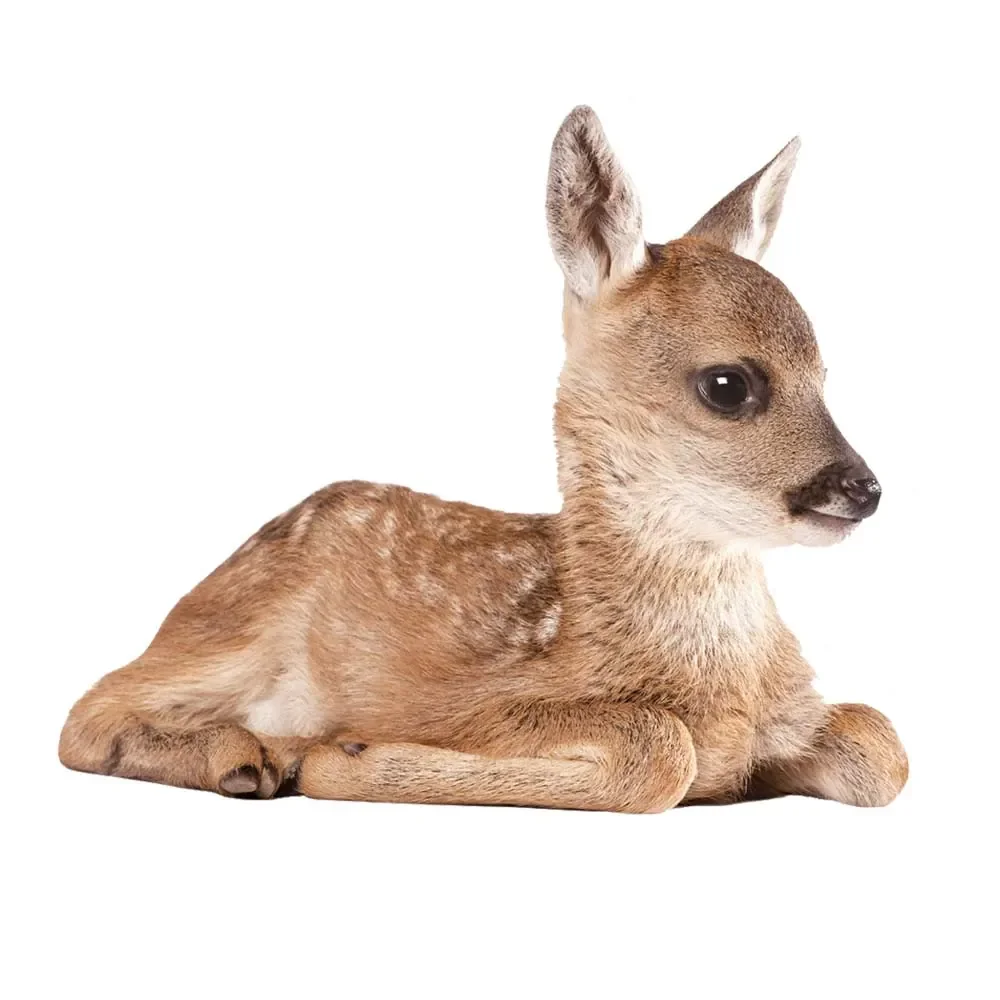 "Kek Amsterdam naklejka ścienna Forest Friends deer, Rozmiar: 40 x 33 cm image"