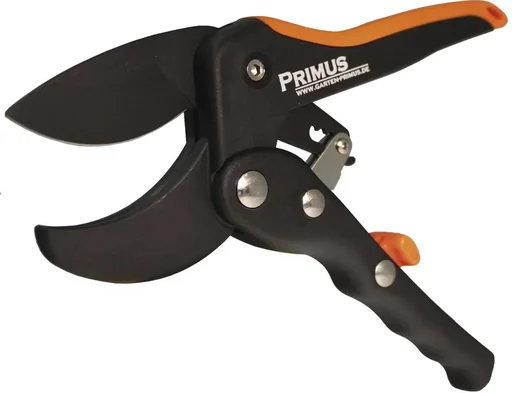 "Ladies' ratchet scissors image"