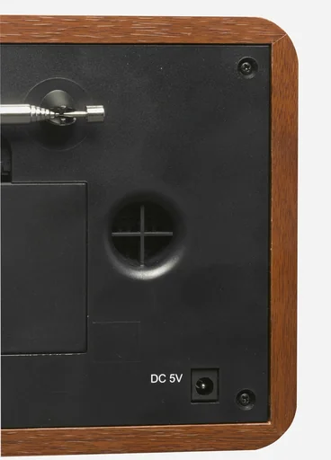 "DAB+ radio with alarm function in an attractive wooden case image"