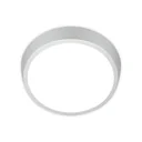 HAGEN LED outdoor light, wall and ceiling light, silver, IP44, 24 watts, 2,160 lm, 4,000 K