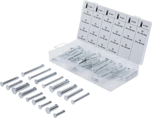 "60-piece locking bolt assortment image"