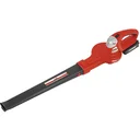 Lion Accu Bladblazer ALB 2420 - Incl. 2.0Ah battery and charger - 208 km/h