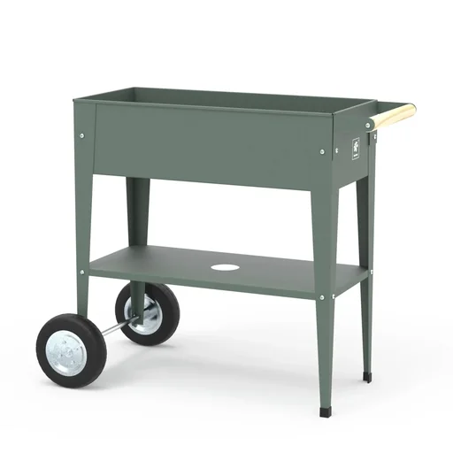 "Herb factory olive green image"