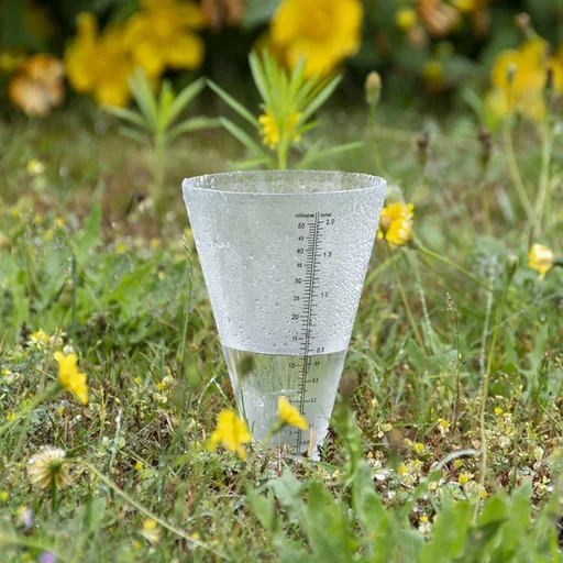 "Plastic rain gauge image"
